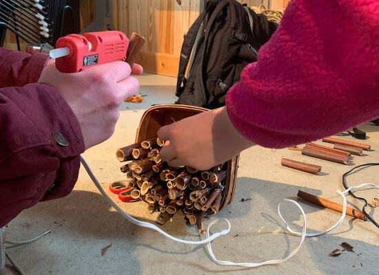 Bee Hotel Process