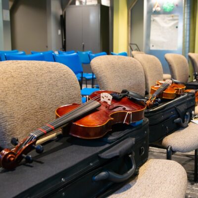 2025viloin:viola reduced